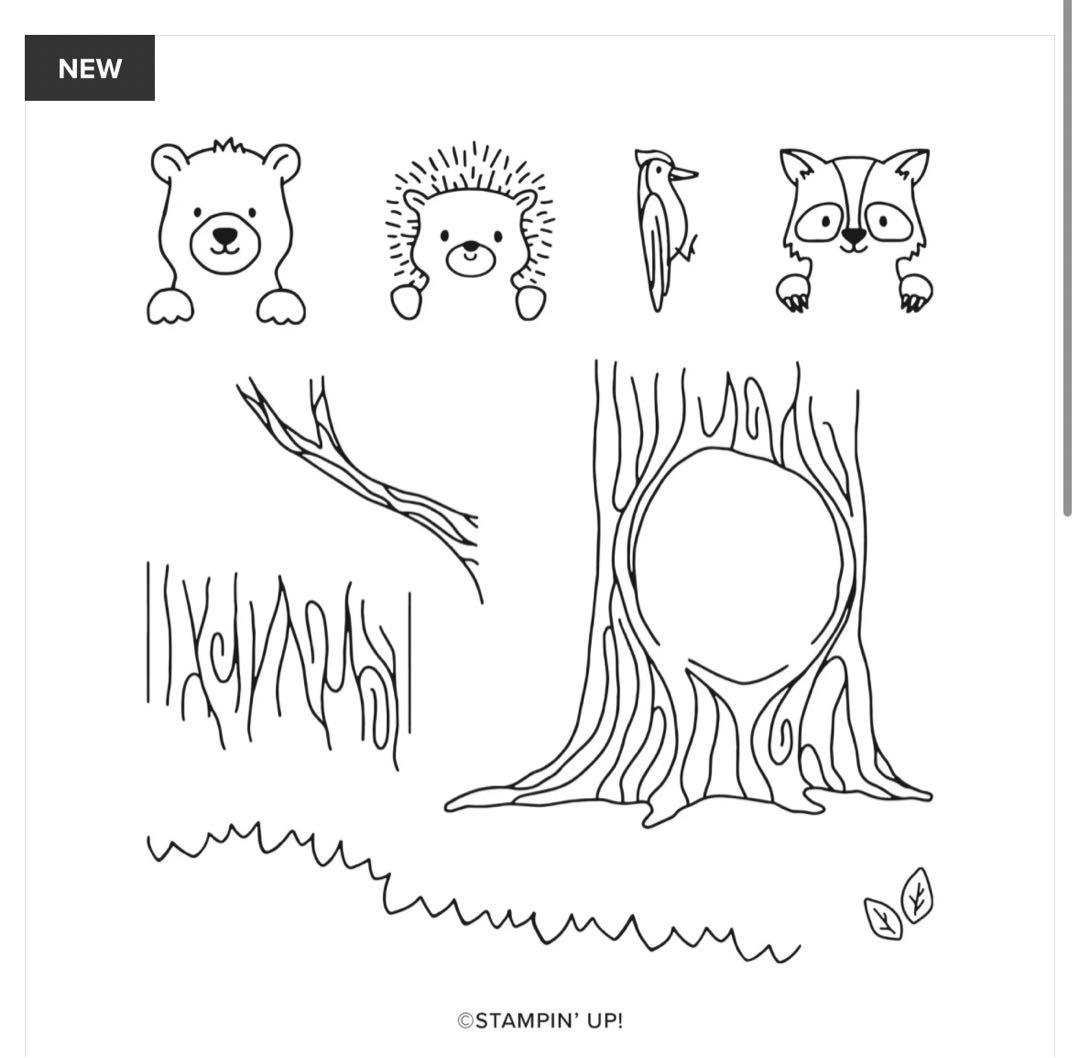 お値下♡未使用⭐︎新作可愛い動物達のスタンプ&ダイ　スタンピンアップ