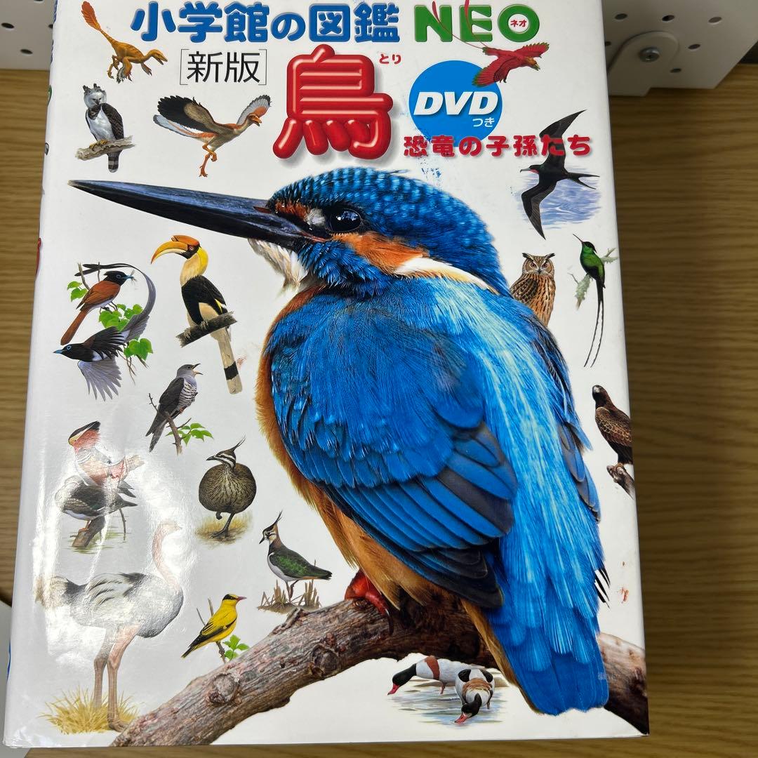 動物図鑑 NEO DVD付き