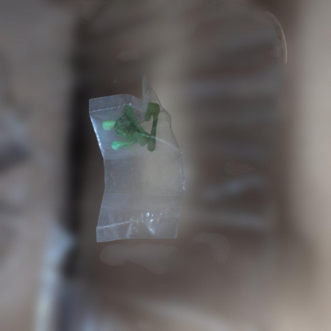 デフォリアル、ビオランテ少年リック限定