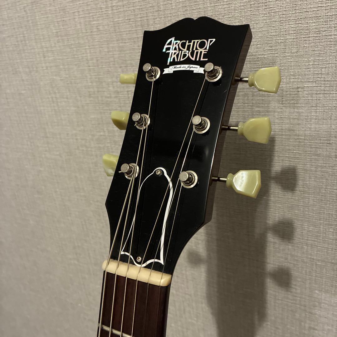 ギター Archtop Tribute AT101