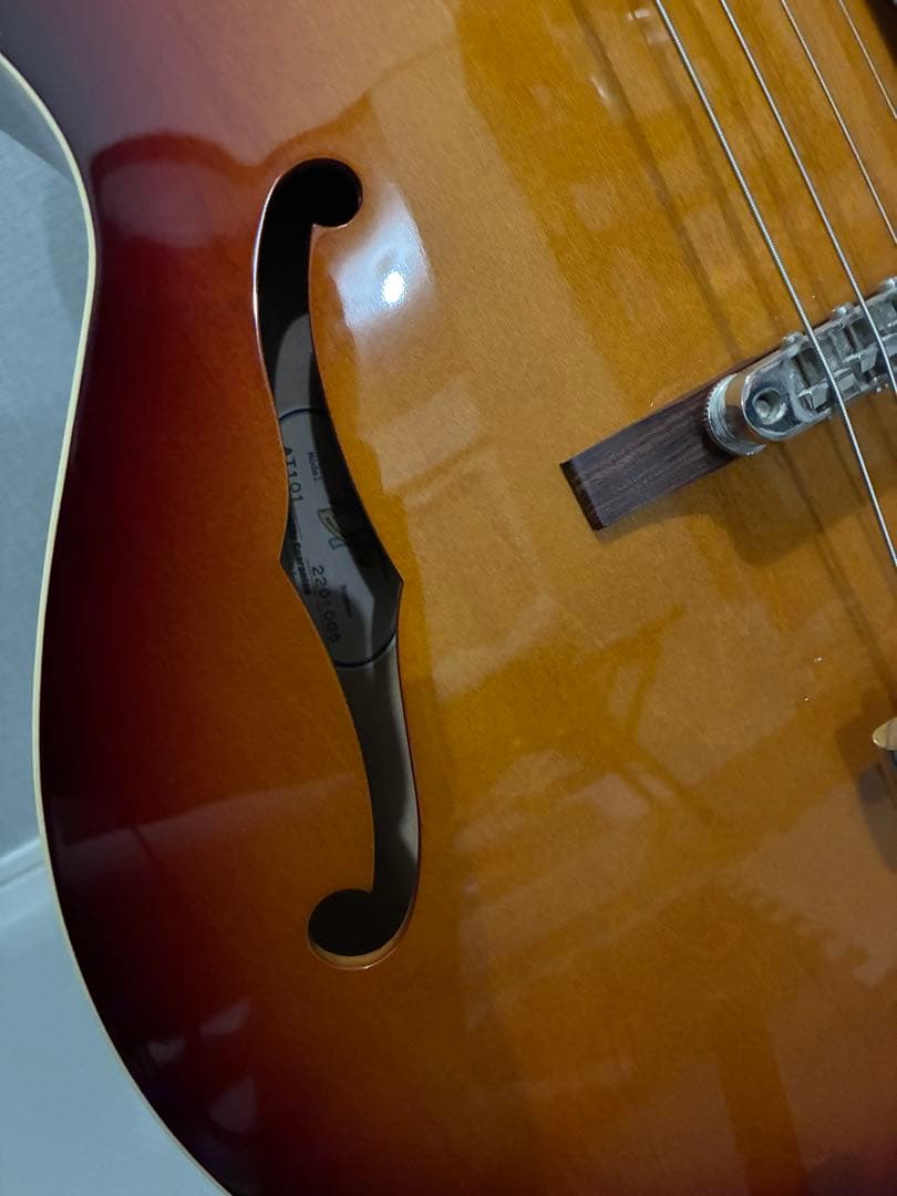 ギター Archtop Tribute AT101