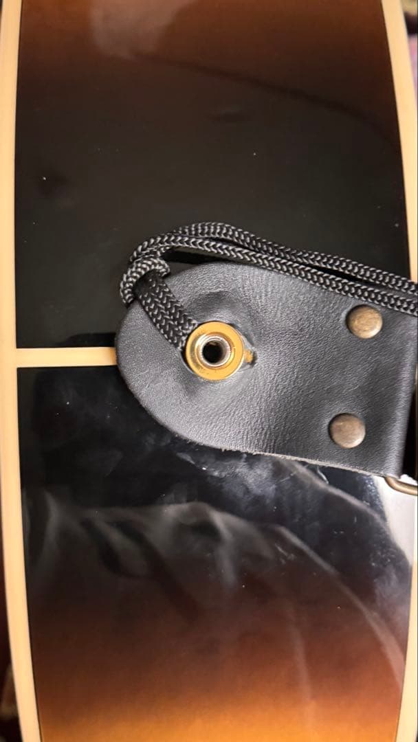 爬虫類・両生類用底材セット