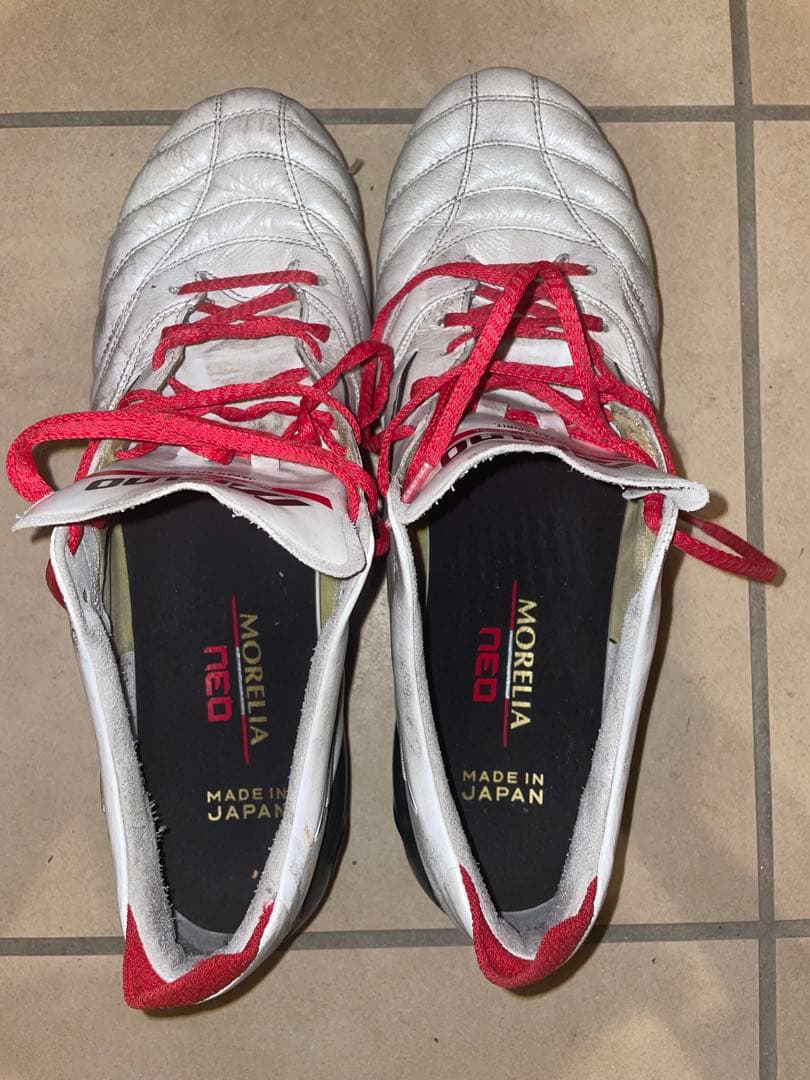 p*r様 モレリアネオ3