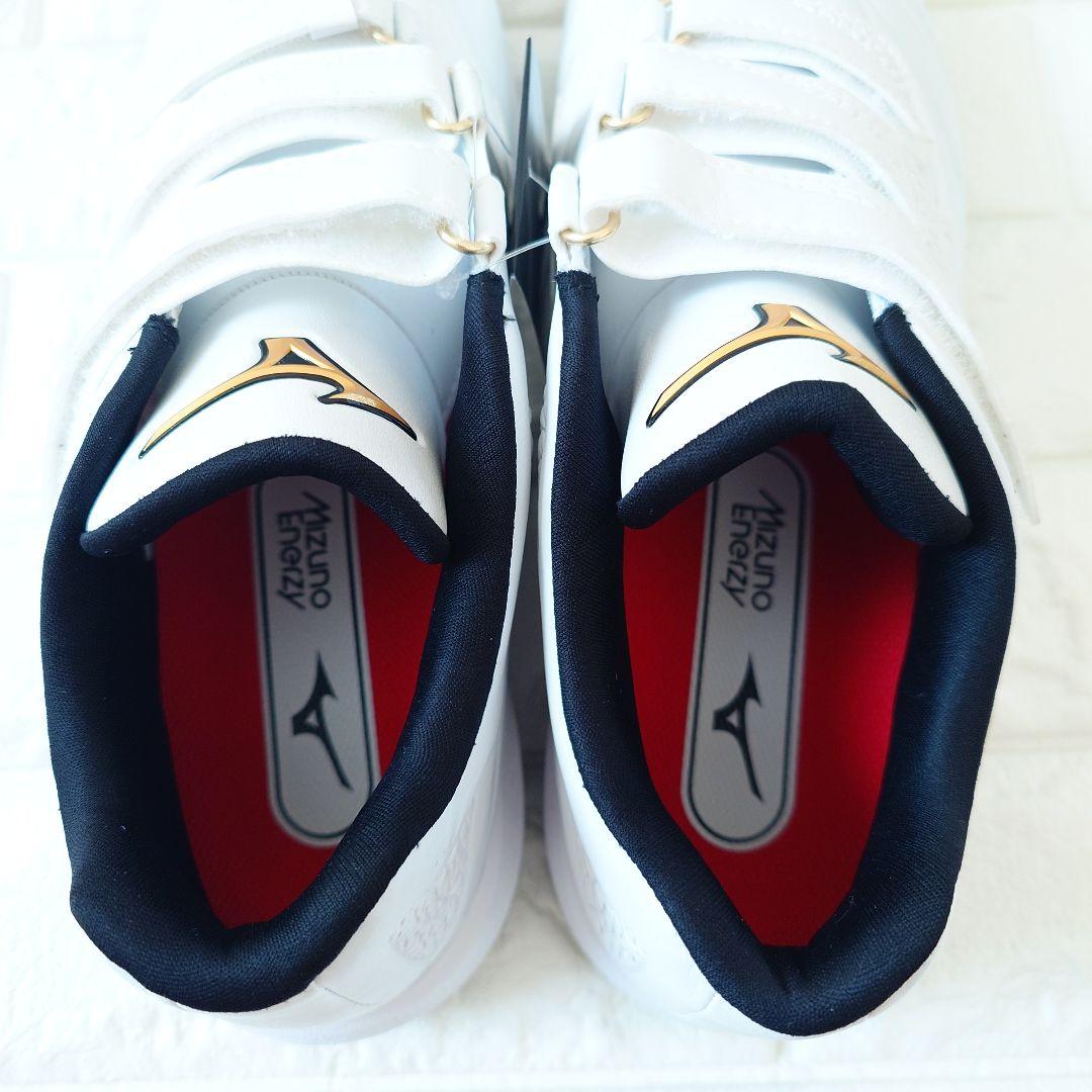 Mizuno ミズノ クッションレボプロトレーナー 27.0cm ワイド 3E