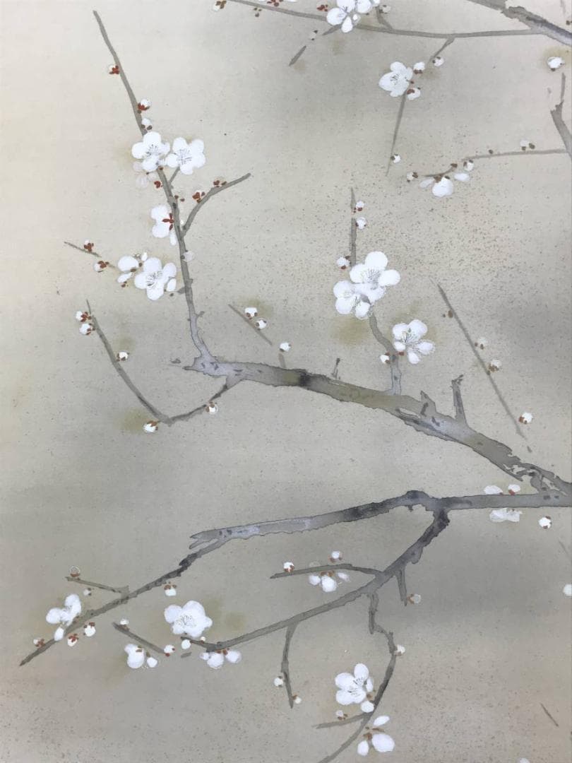 【真作】三宅凰白/白梅小禽図/花鳥図/梅花図/掛軸☆宝船☆AD-557