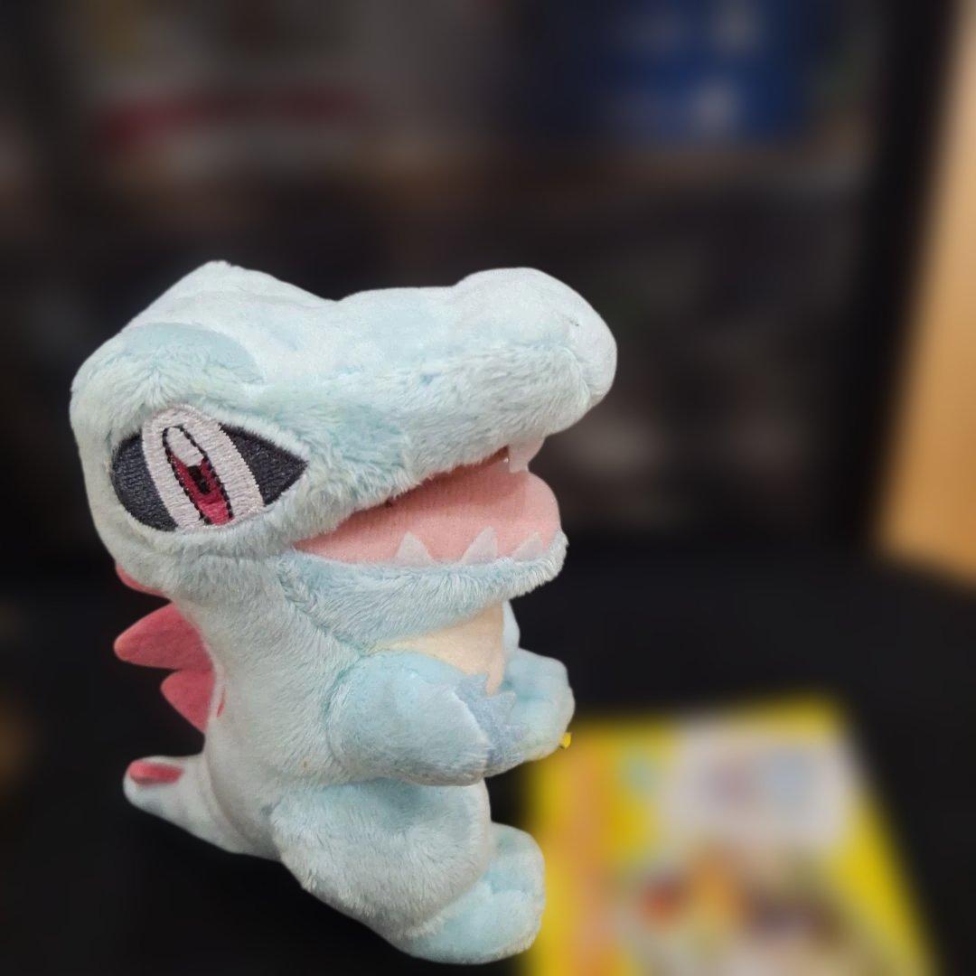 ポケモンセンター　キャンバス　チコリータ　ワニノコ　ヒノアラシ　ぬいぐるみ