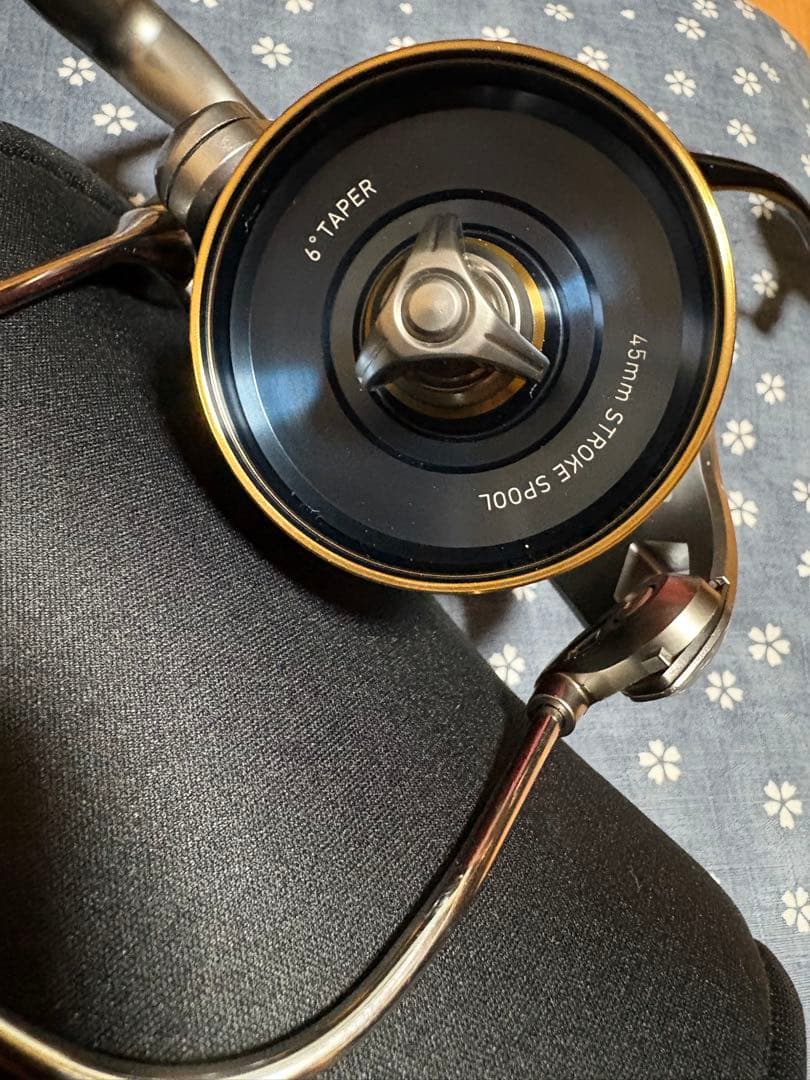 ダイワ　19トーナメントサーフ45 06PE