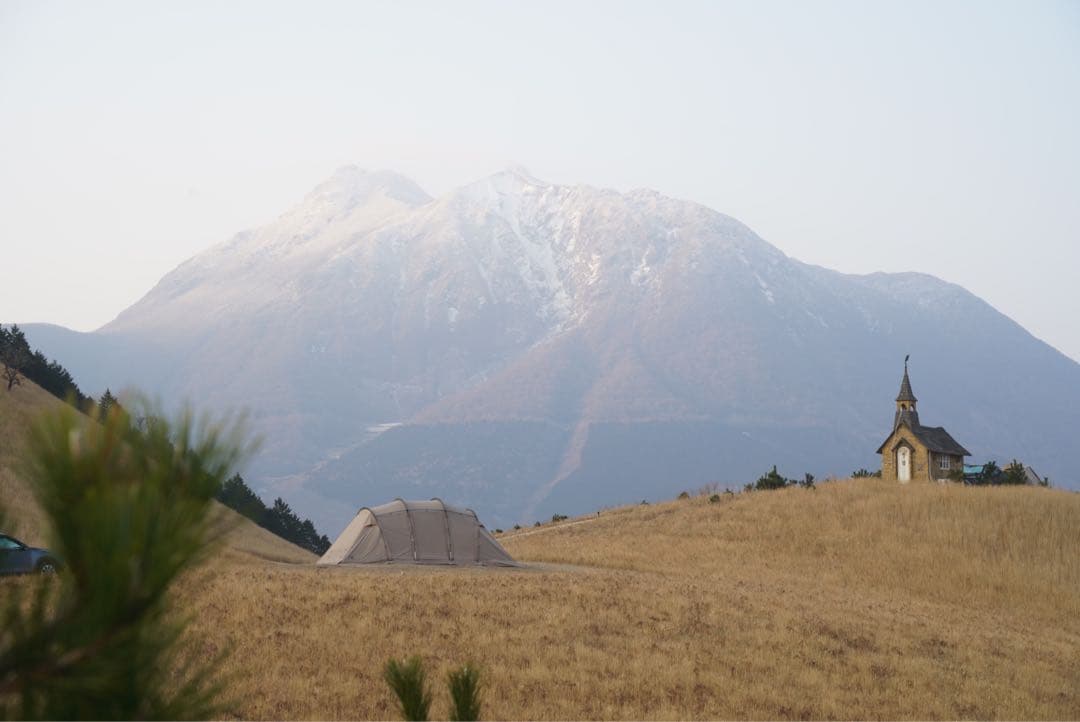 アルニカ　サバティカル　sabbatical