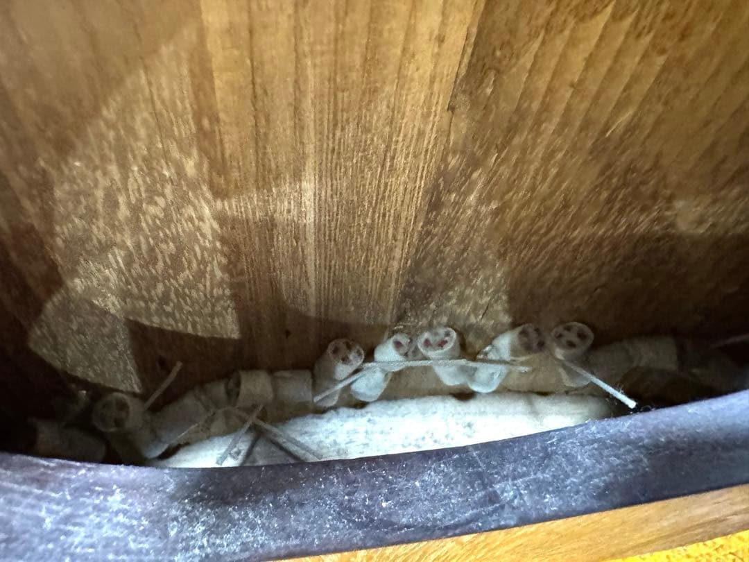 お琴 13弦 和楽器 伝統楽器