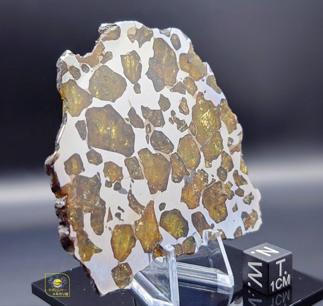 ★51.38g イミラック パラサイト 隕石 Imilac⭐⭐⭐