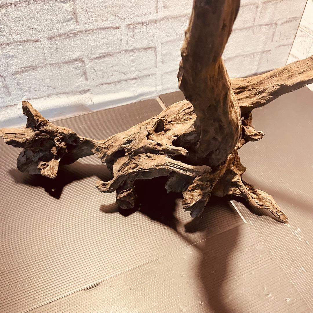 天然流木233 アク抜き処理済み　沈水処理済み　ビオトープ　水槽レイアウト