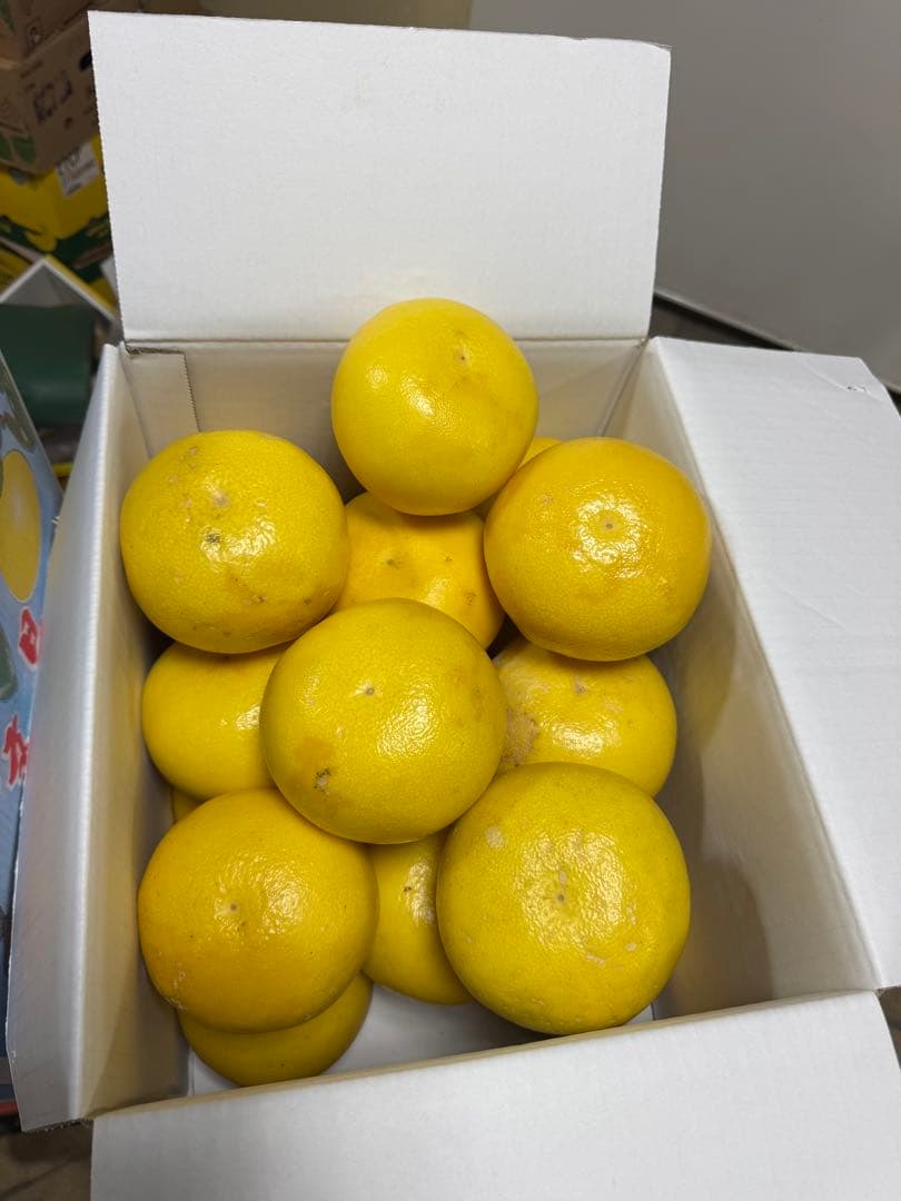 文旦　水晶文旦　みかん　好きに　　78