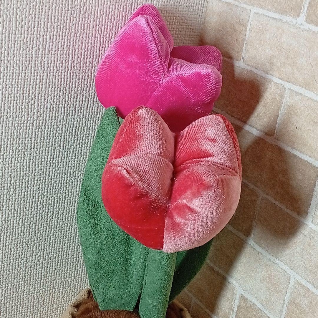  tulip pot　ジェリーキャット　チューリップ 花 植木鉢