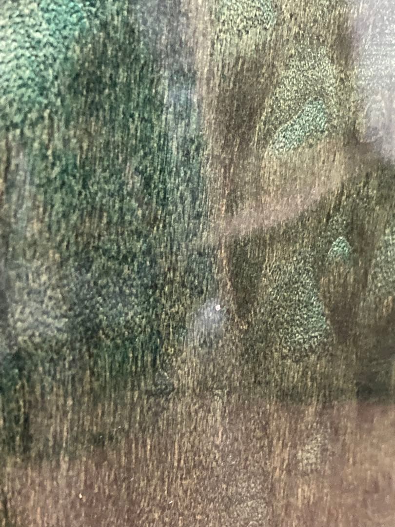 Ovation Celebrity CP741 パーラーギター グリーン