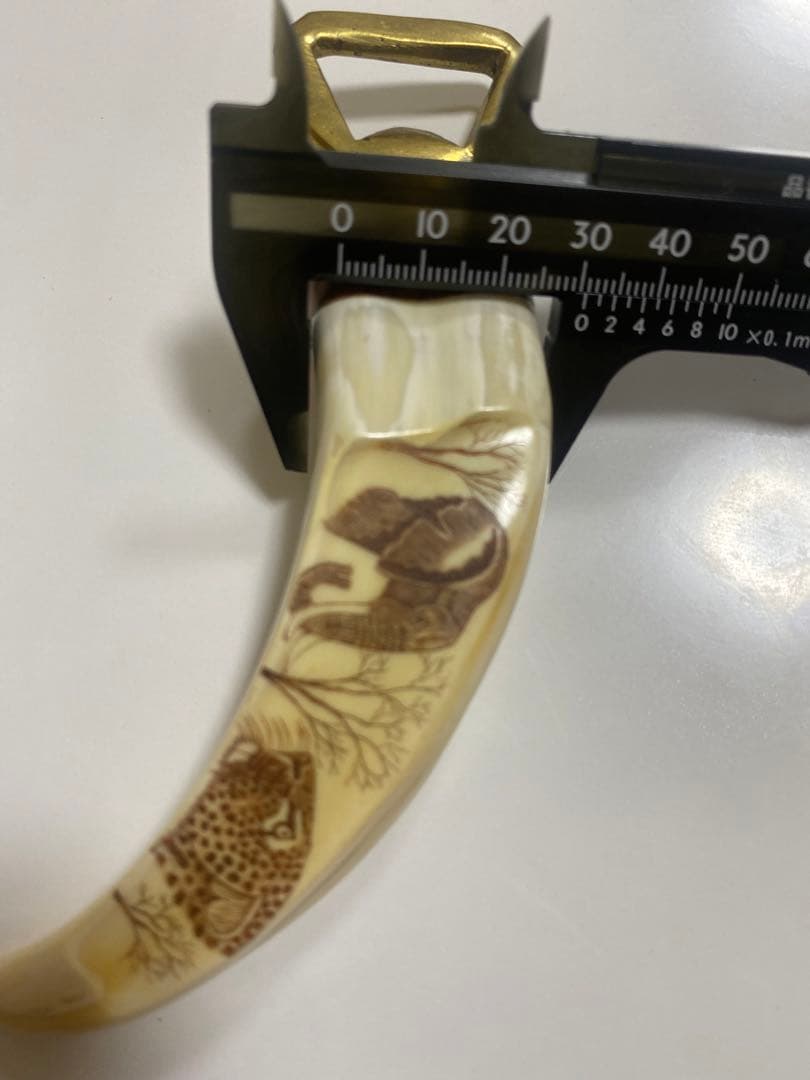 セイウチ牙　海象牙　天然素材　栓抜き　送料無料