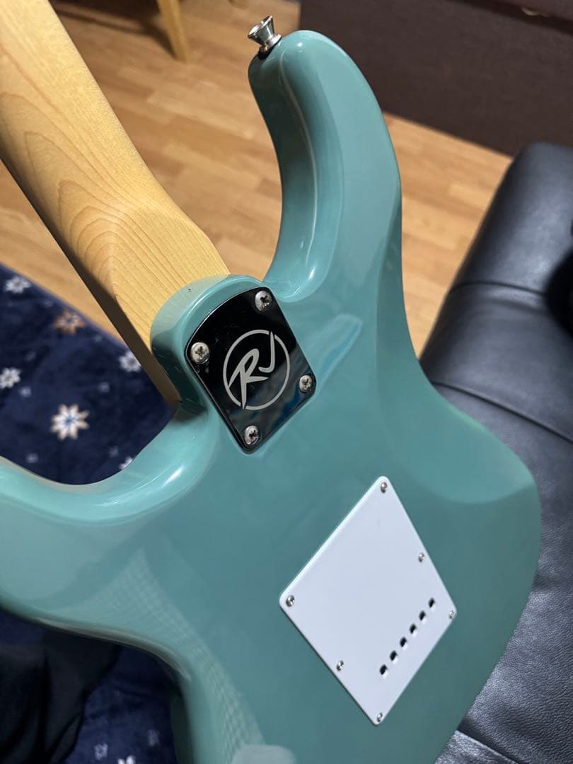 ギター RJ Vibecaster Professional