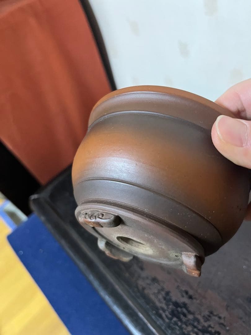 479 盆栽　盆栽鉢　植木鉢　和鉢　美芸