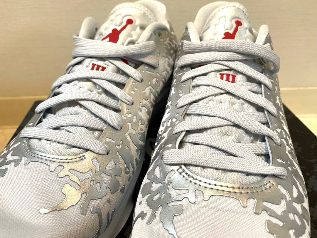 セール　ジョーダン　ザイオン3 PF リキッドメタル 25cm シルバー