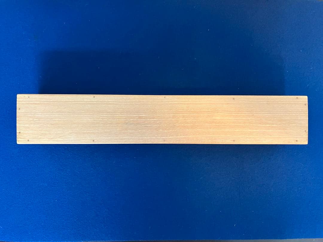 中村玲方【ドジョウ】紙本　掛軸（うなぎ）