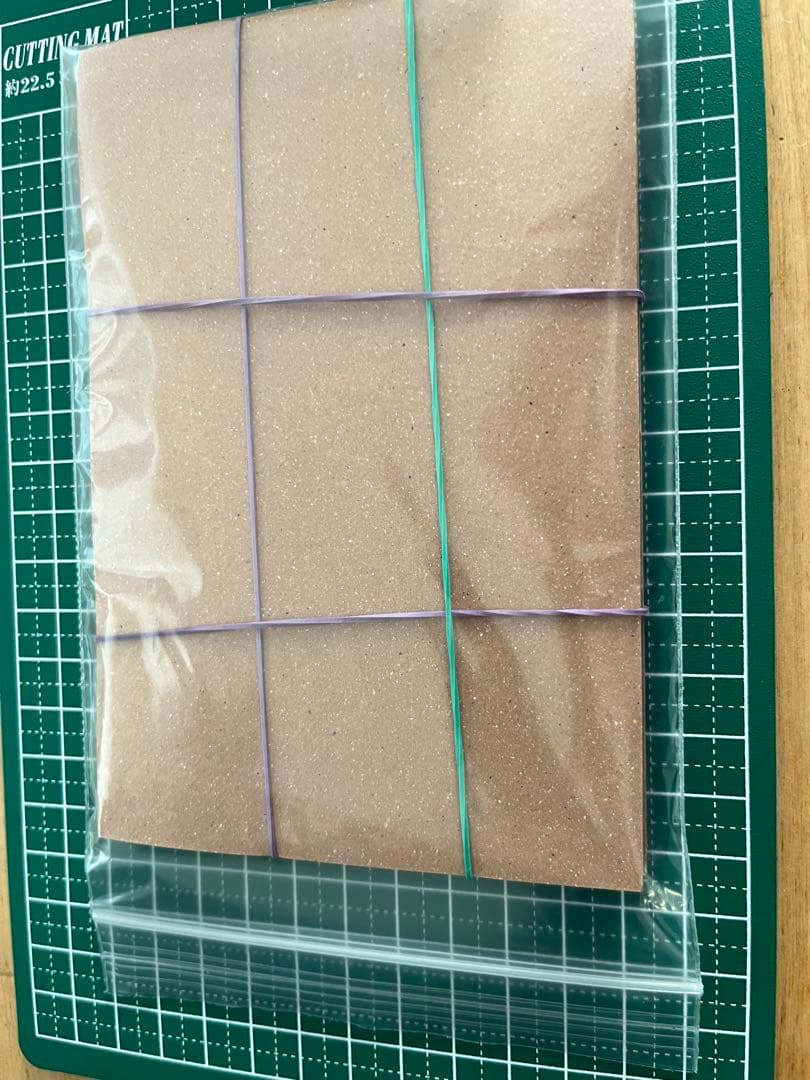 リーリエ SR CGC9 英語版