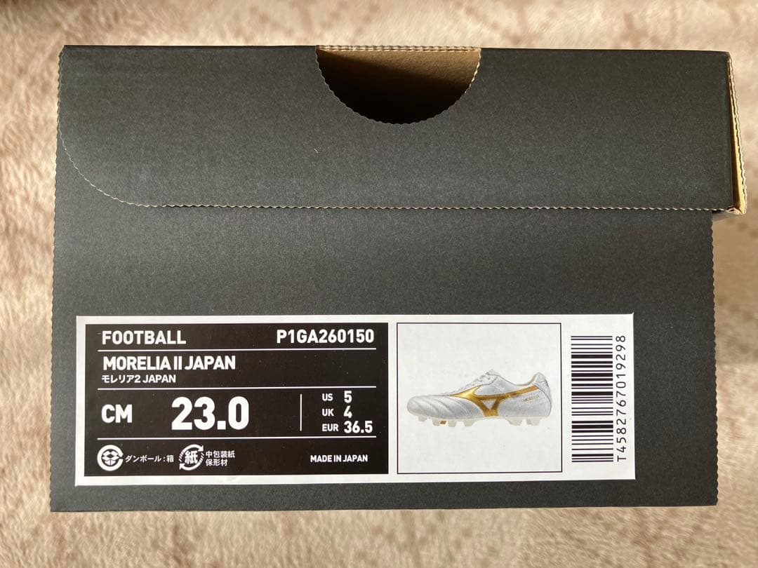 モレリア2 JAPAN 23cm