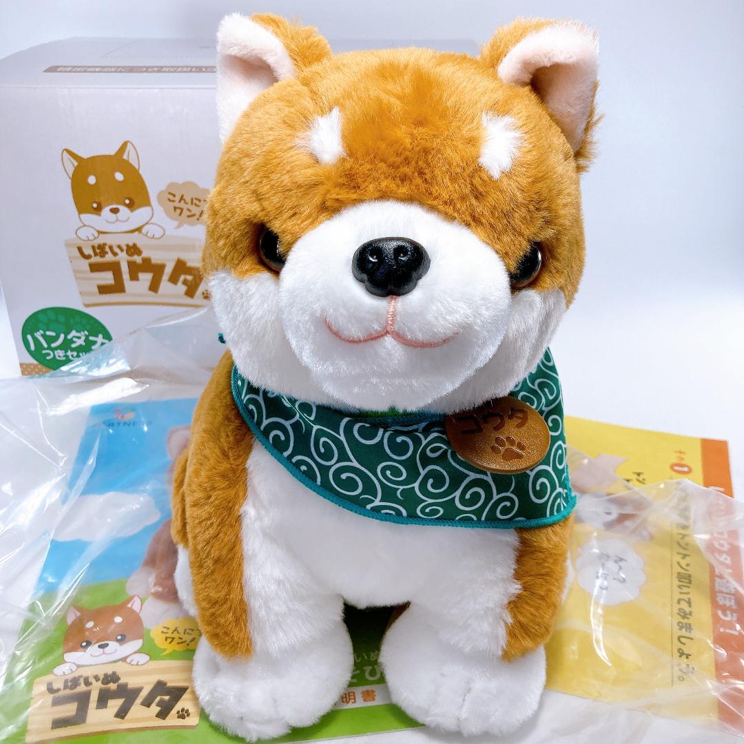 しばいぬコウタ バンダナつきセット こんにちワン！しばいぬ コウタ　|4007|