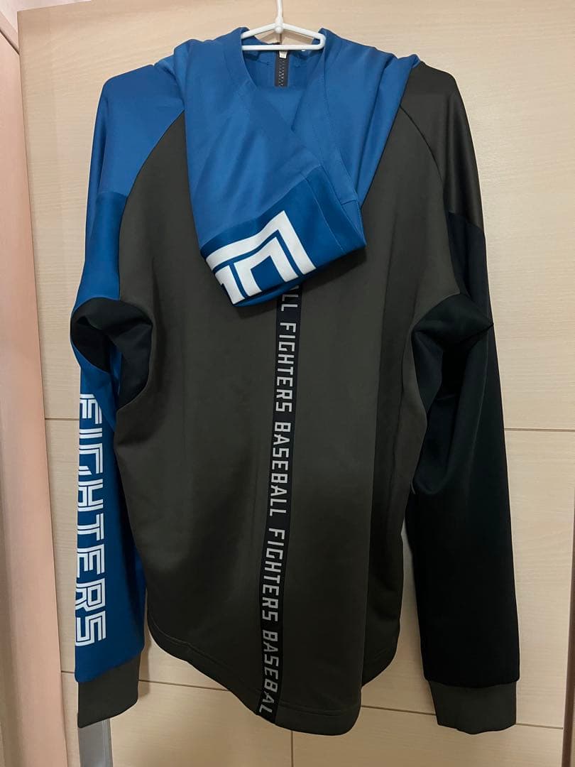 日本ハムファイターズ