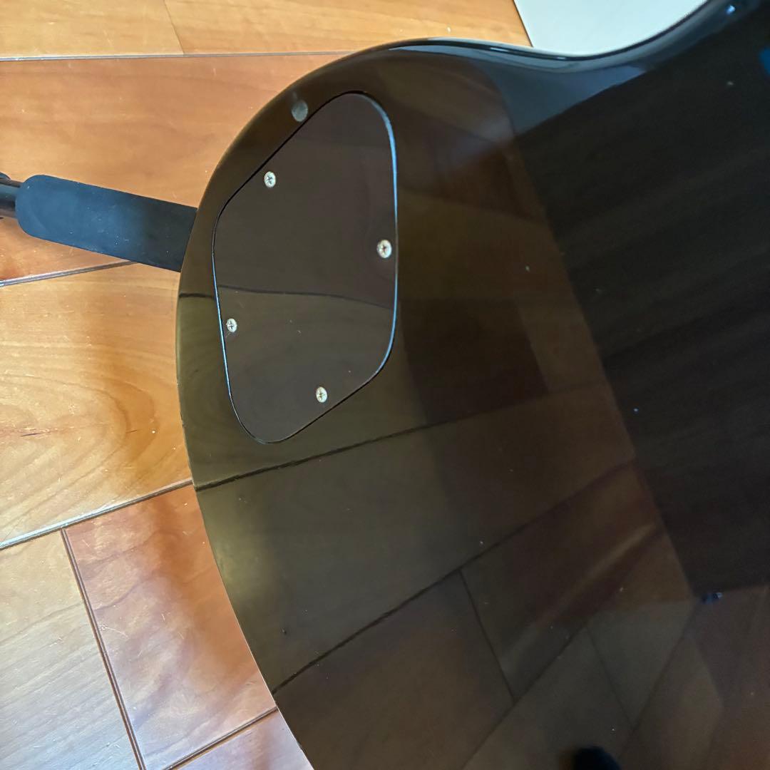 GrassRoots/グラスルーツ レスポールカスタム ブラック ソフトケース付