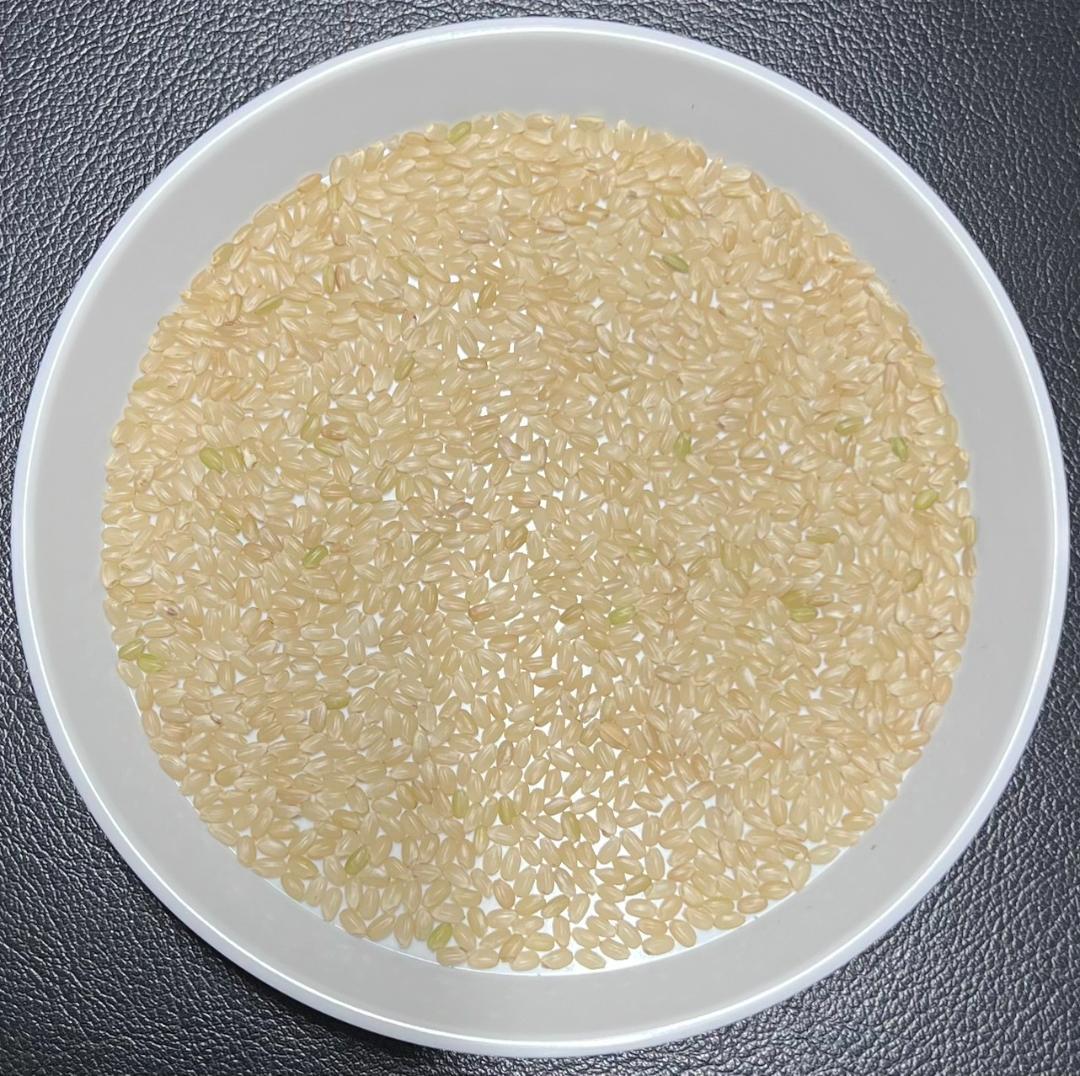 一等検査 特別栽培米 玄米 令和7年産 京都 丹後 コシヒカリ 20kg