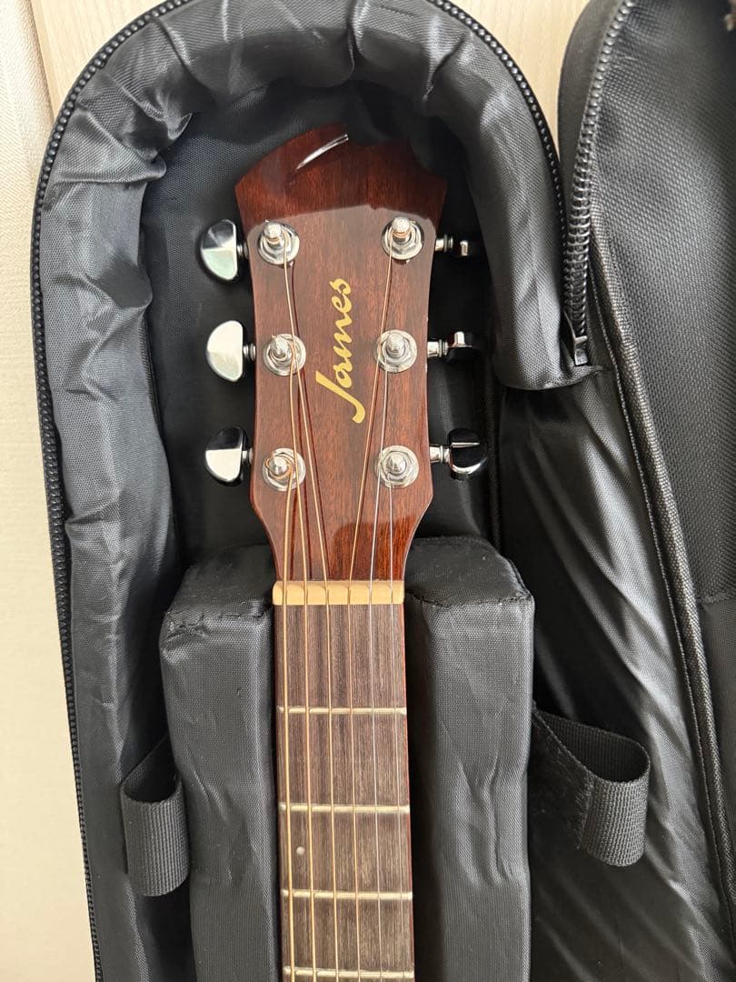 James J-600DCNAT アコースティックギター ケース付き　エレアコ