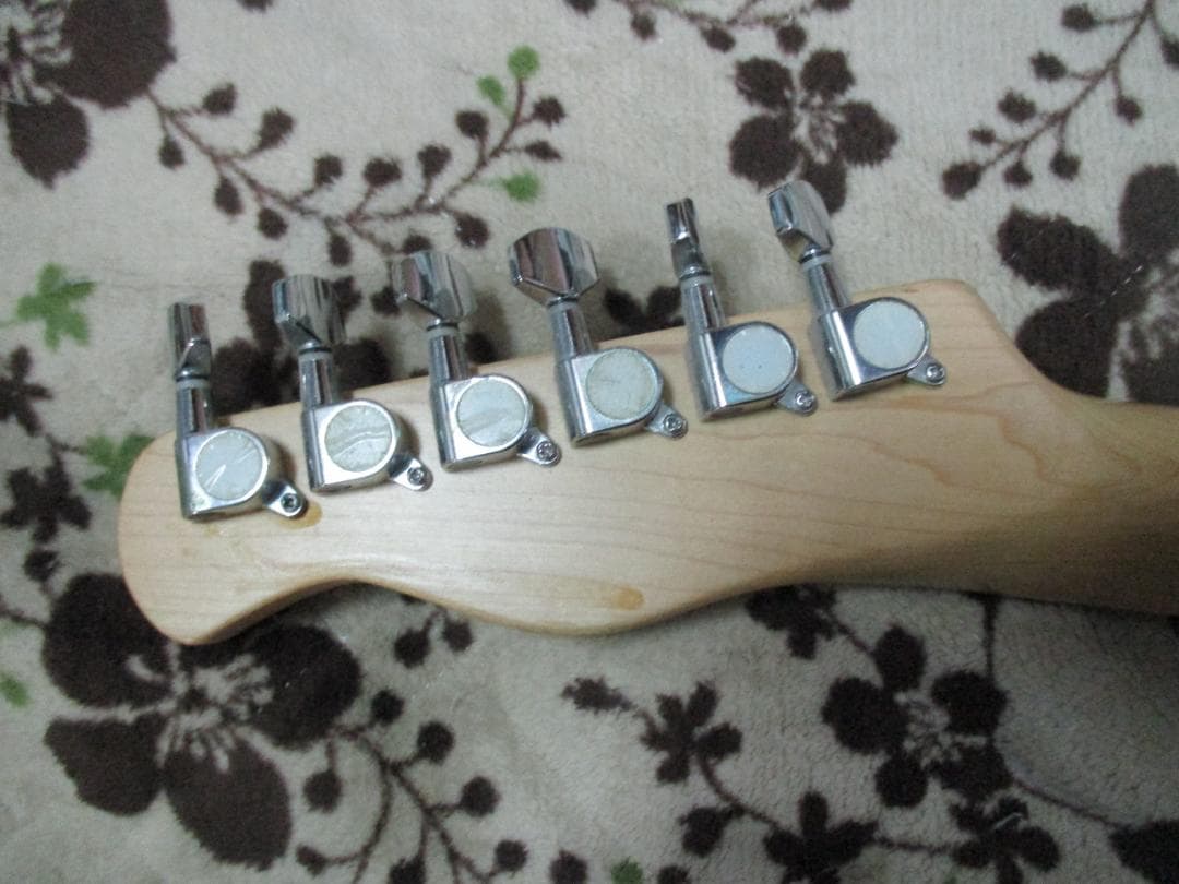 Bucchus　テレキャスター　BTC-1R