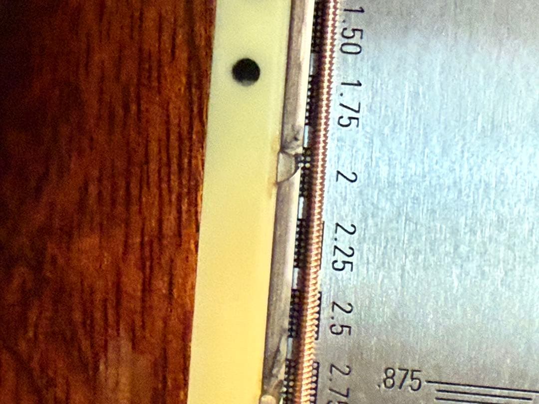 S-yairi YD-42/Nオール単板純正ハードケース付き