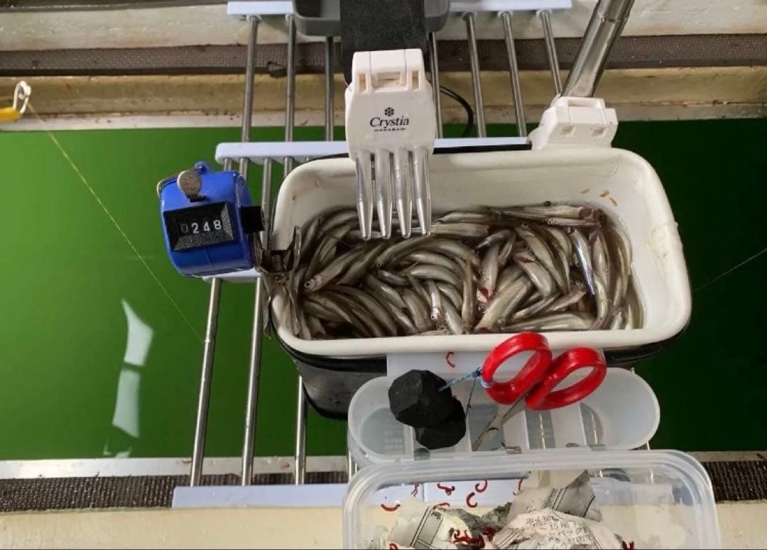 ワカサギ　ステンレス穂先　全長約220ミリ　2本