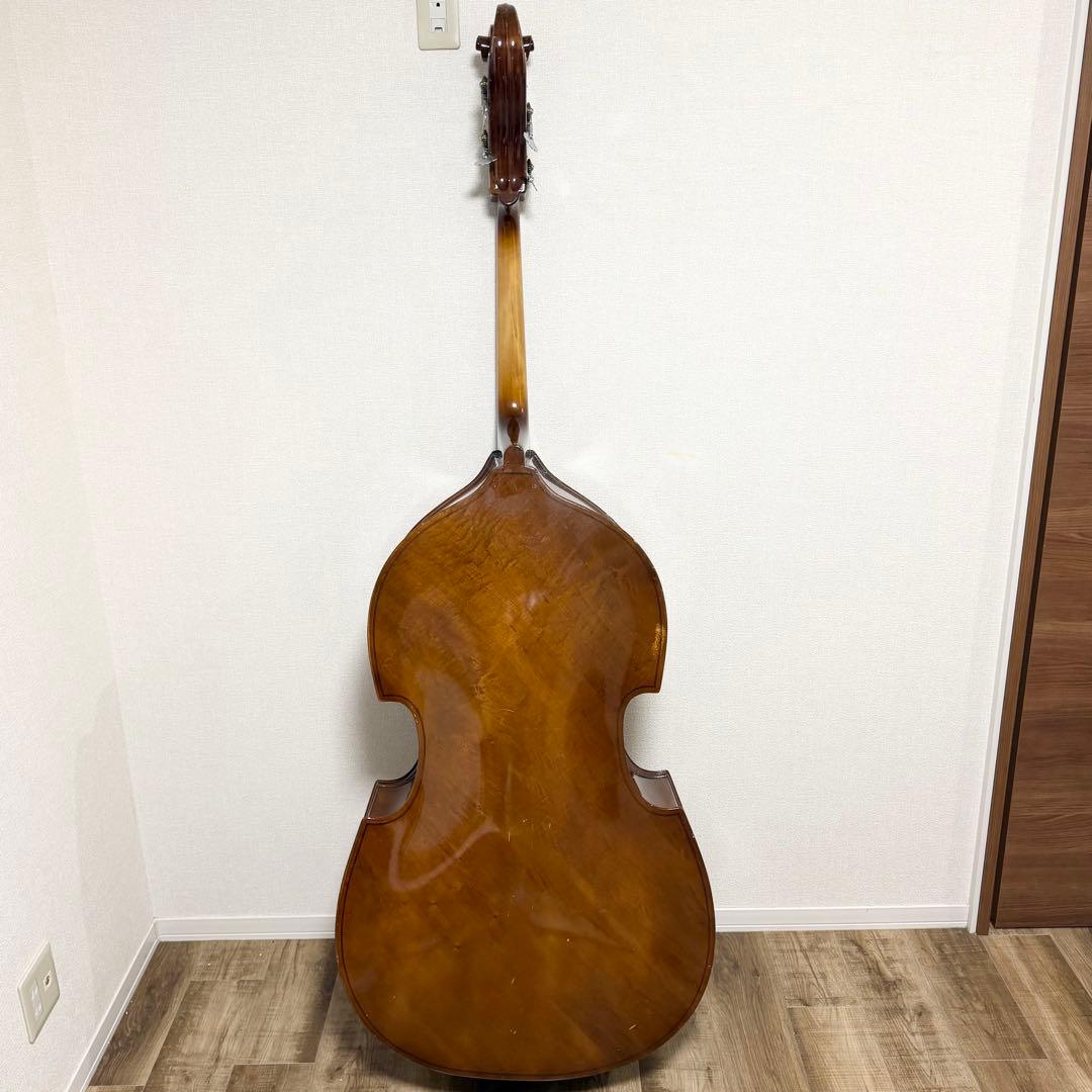 引取限定　コントラバス CHAKIチャキ C-1