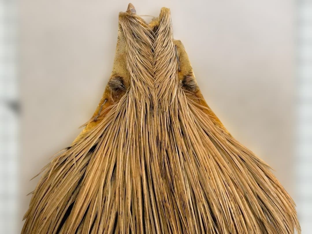 KEOUGH ハックル ケープ #2 バジャー