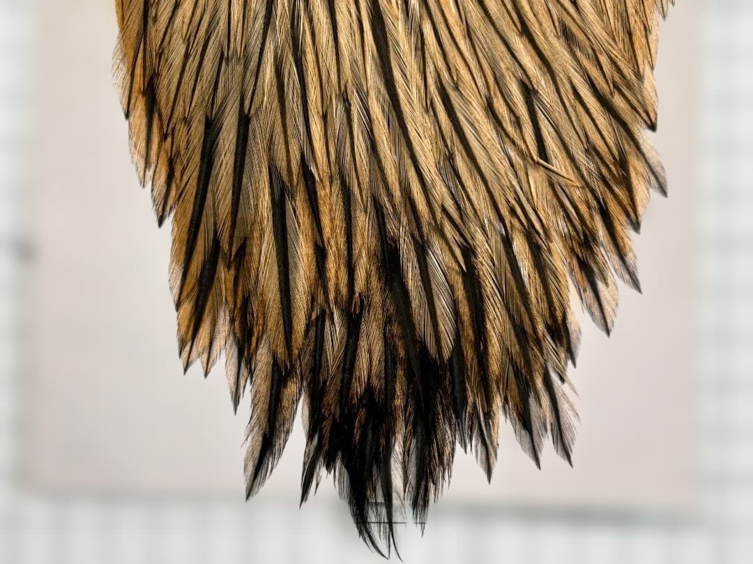 KEOUGH ハックル ケープ #2 バジャー