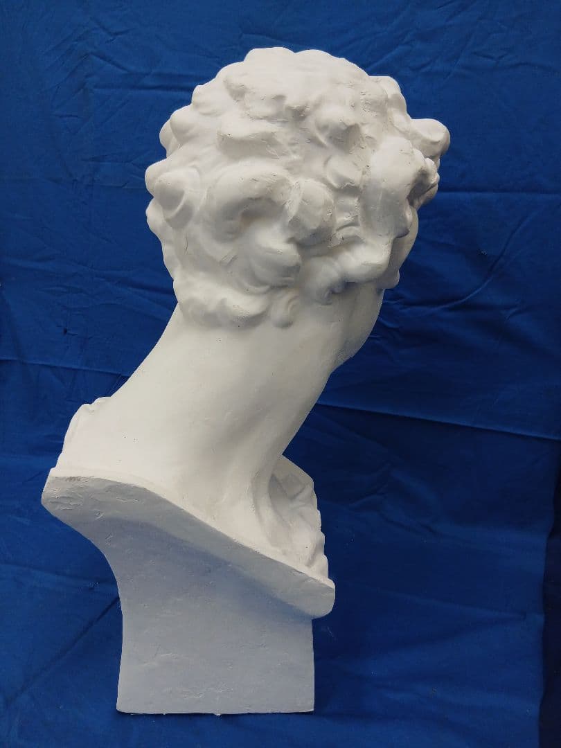 くま。メディチ首像60cm