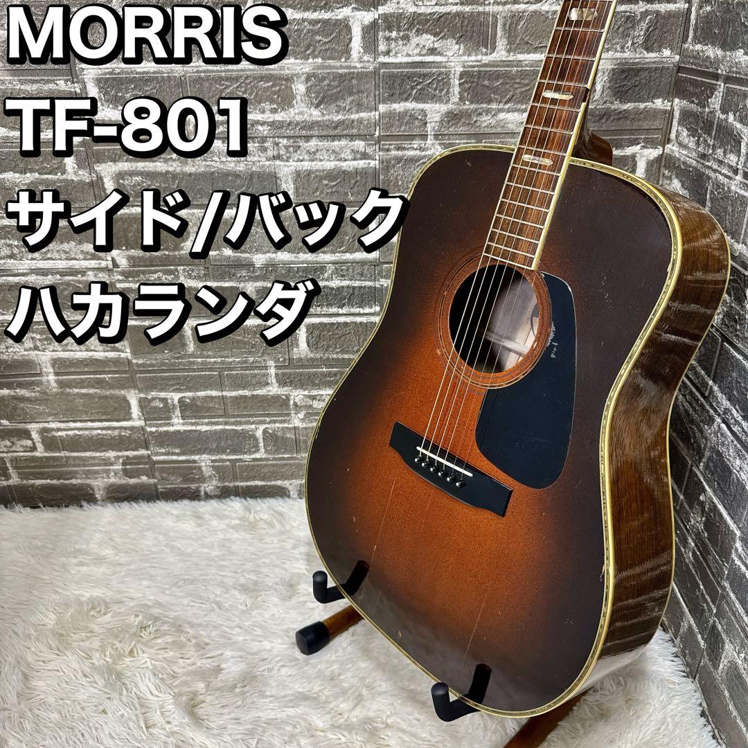MORRIS TF-801 ハカランダ アコースティックギター