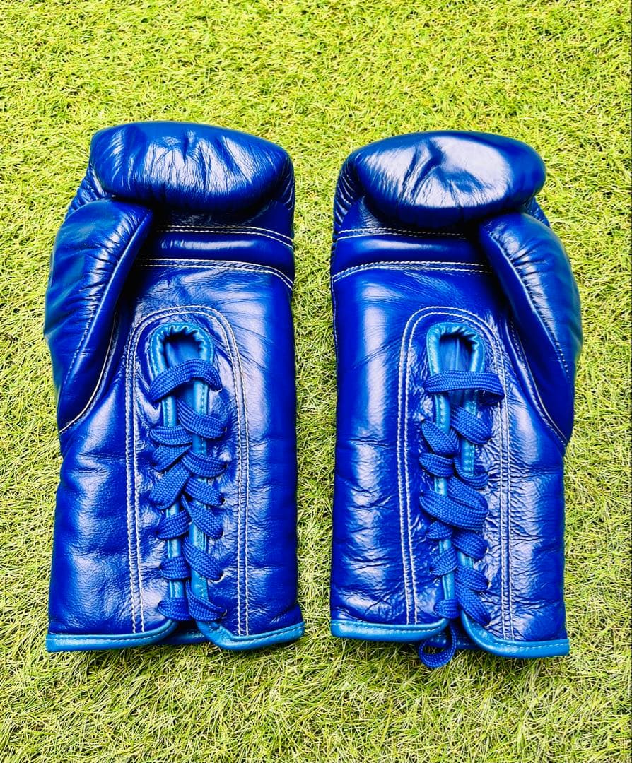 ❤️ TWINS ボクシンググローブ 12 OZ 青