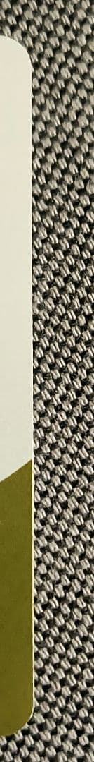 メガリザードン YexMUR