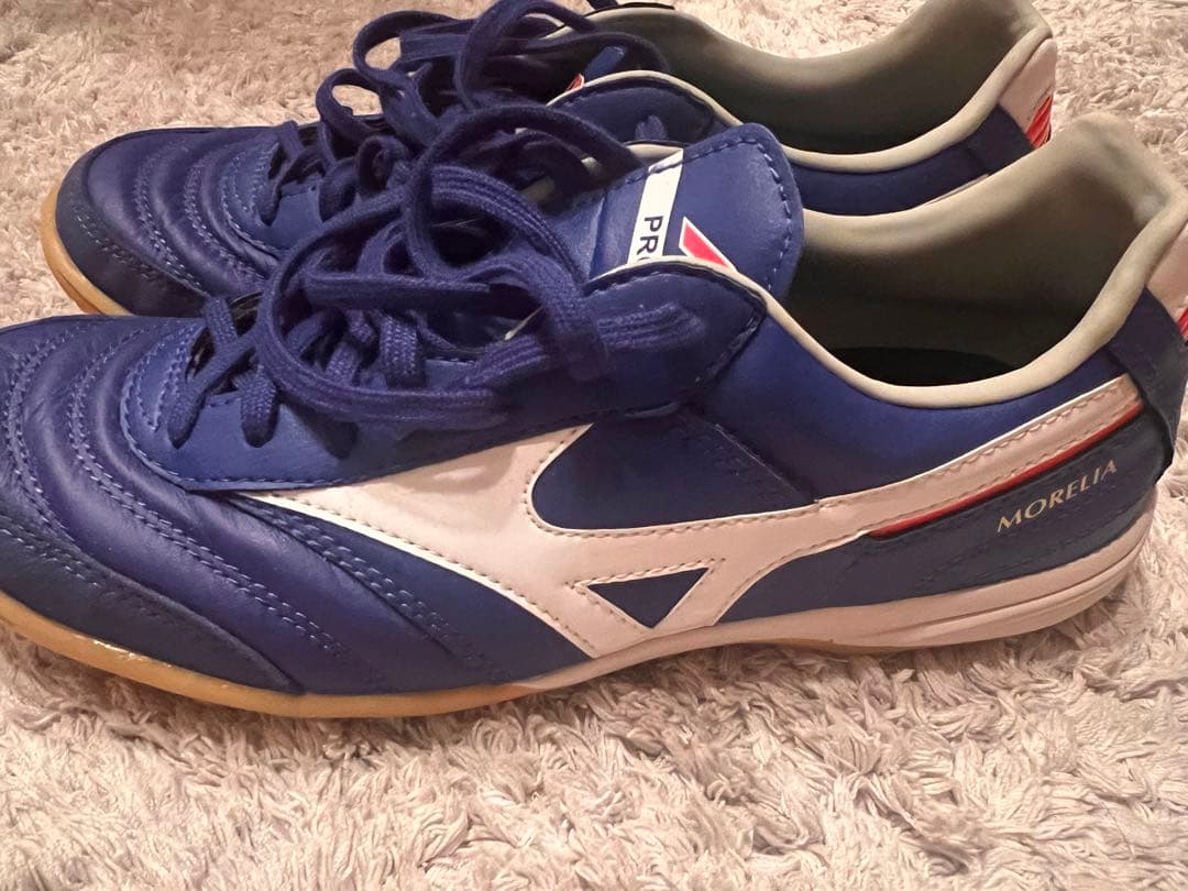 フットサルシューズモレリアIN 限定カラー