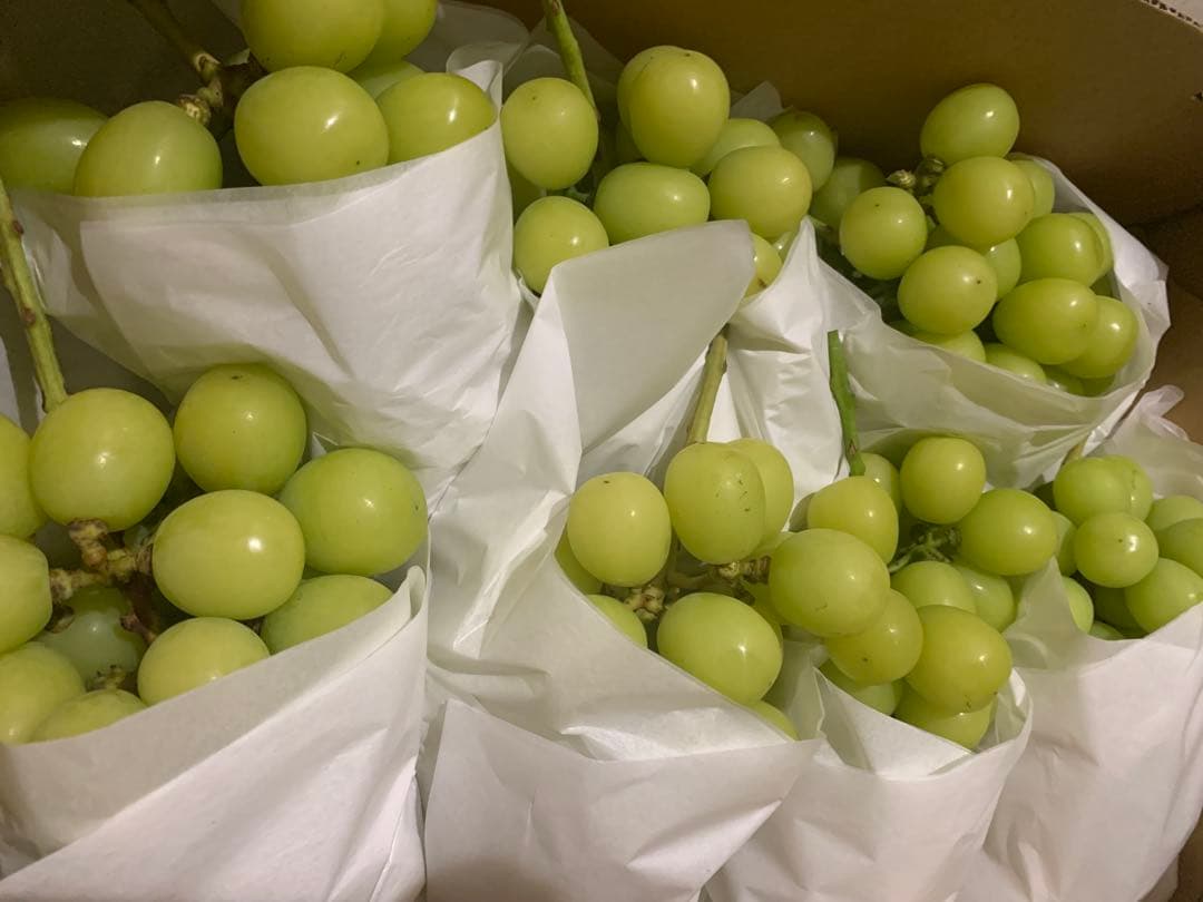 長野県産　大粒シャインマスカット箱込み5㌔以上