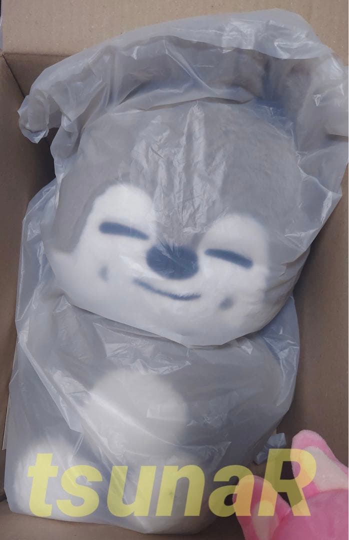 ウルフチャン　テディベア　本国ペンミ　5’clockバンチャン　スキズ