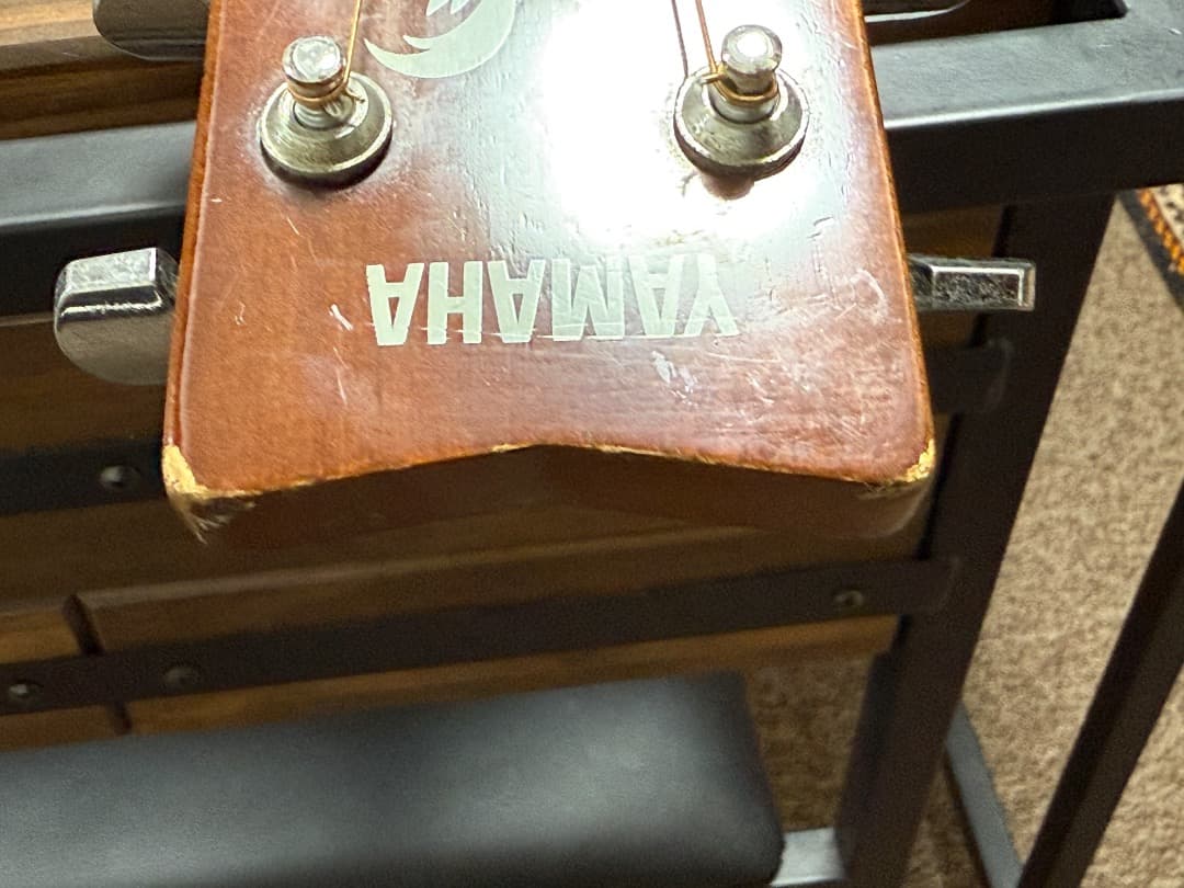 Yamaha F-310 ヤマハ＋ Gator製ギグケース