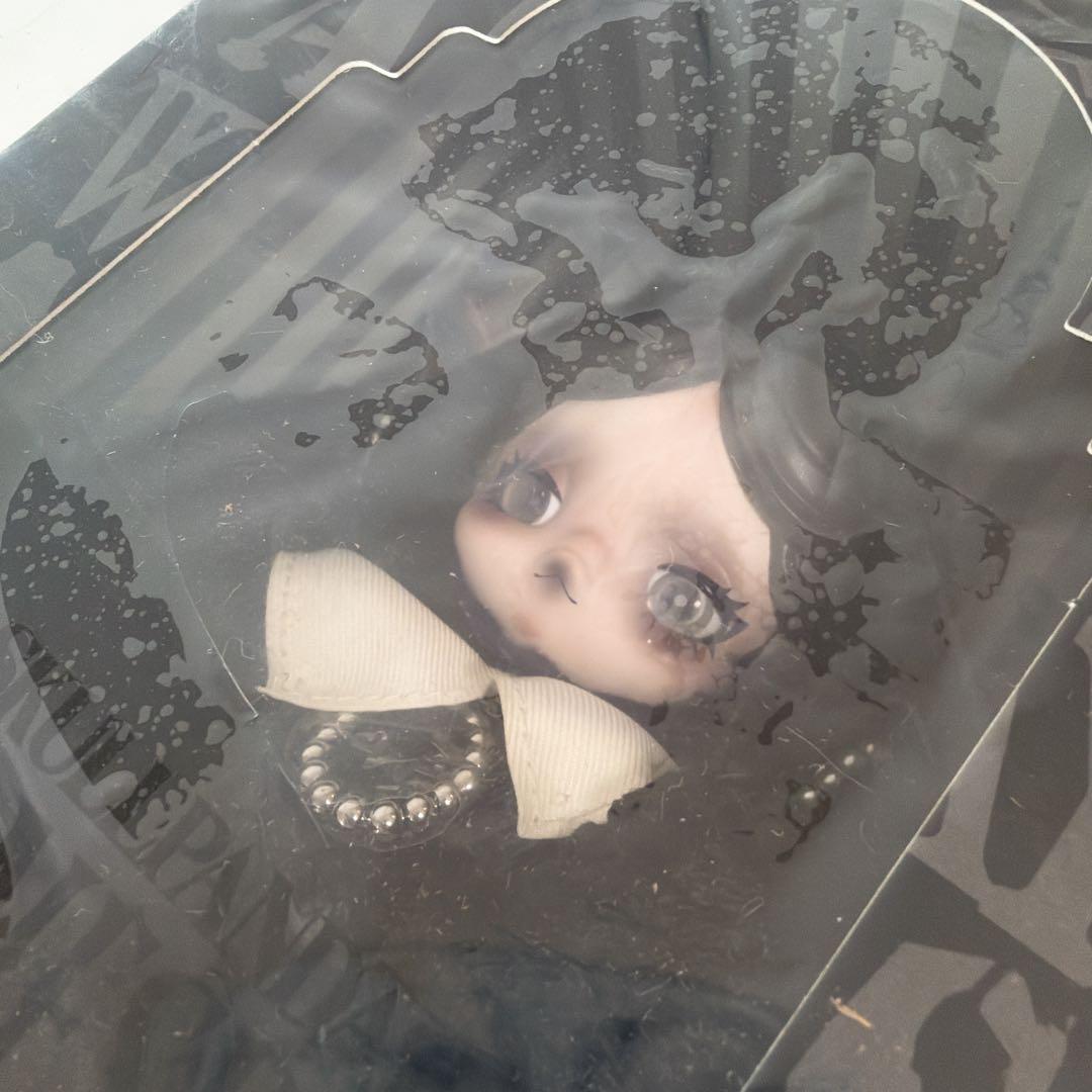 NY ニューヨーク アメリカ限定 スカルパンダ ウェンズデー クラシック