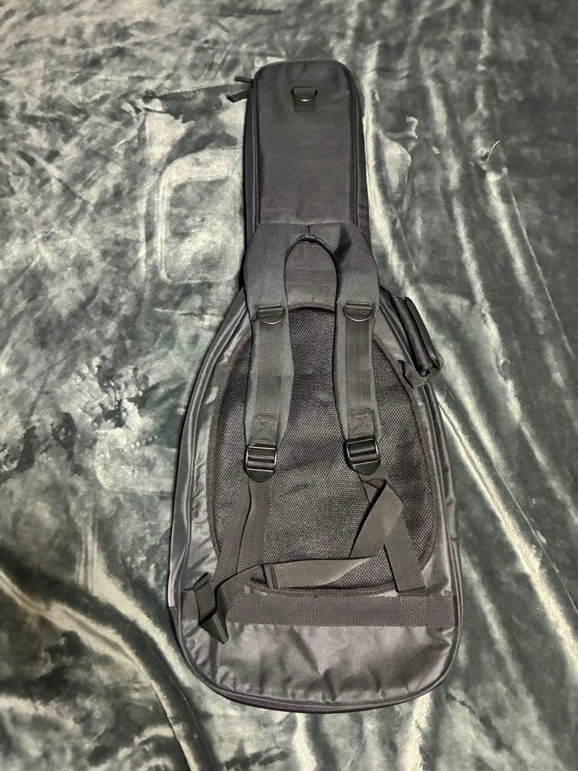 フジゲン　FGN Neo Classic NST101 12/20まで値下げ中