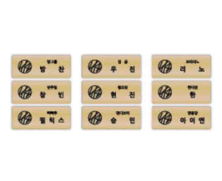 Straykids I AM YOU ショーケース 名札 リノ