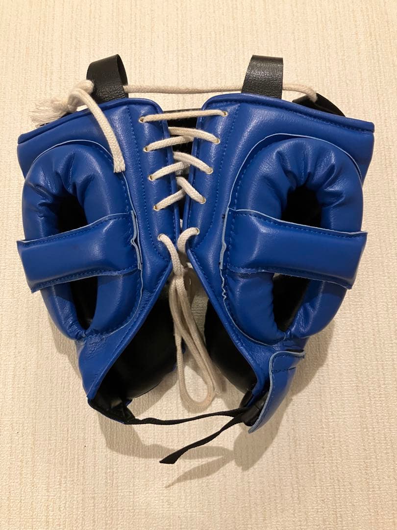 Winning ヘッドギア フルフェイスタイプ ブルー M FG-2900