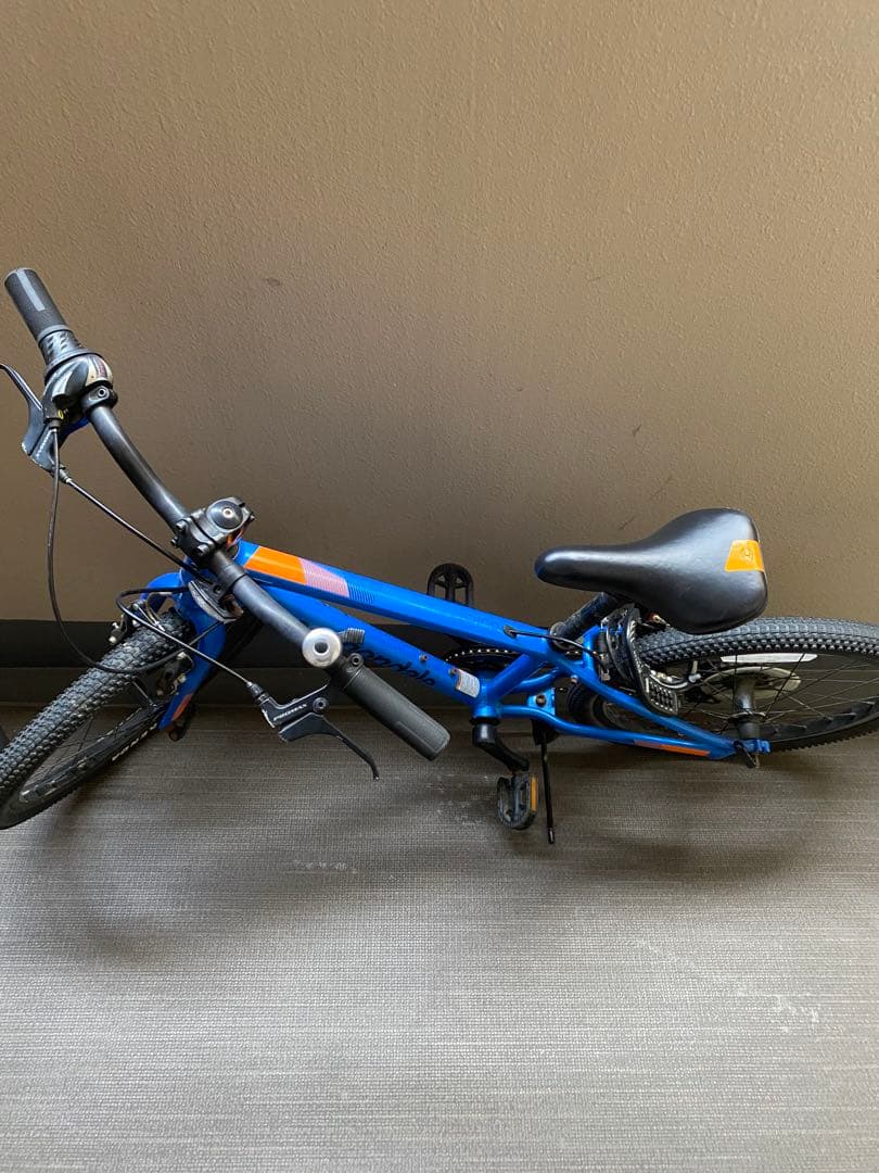 キャノンデール20インチ