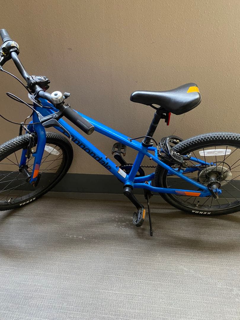 キャノンデール20インチ